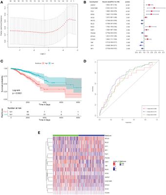 A large-scale screening and functional sorting of tumour microenvironment prognostic genes for breast cancer patients